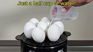 AG-775 Deluxe Egg Boiler